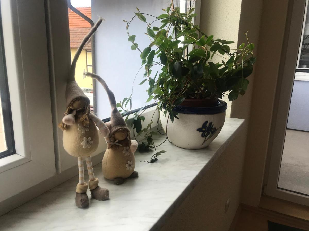 Ferienwohnung Am Gruenen Band Hellingen Extérieur photo