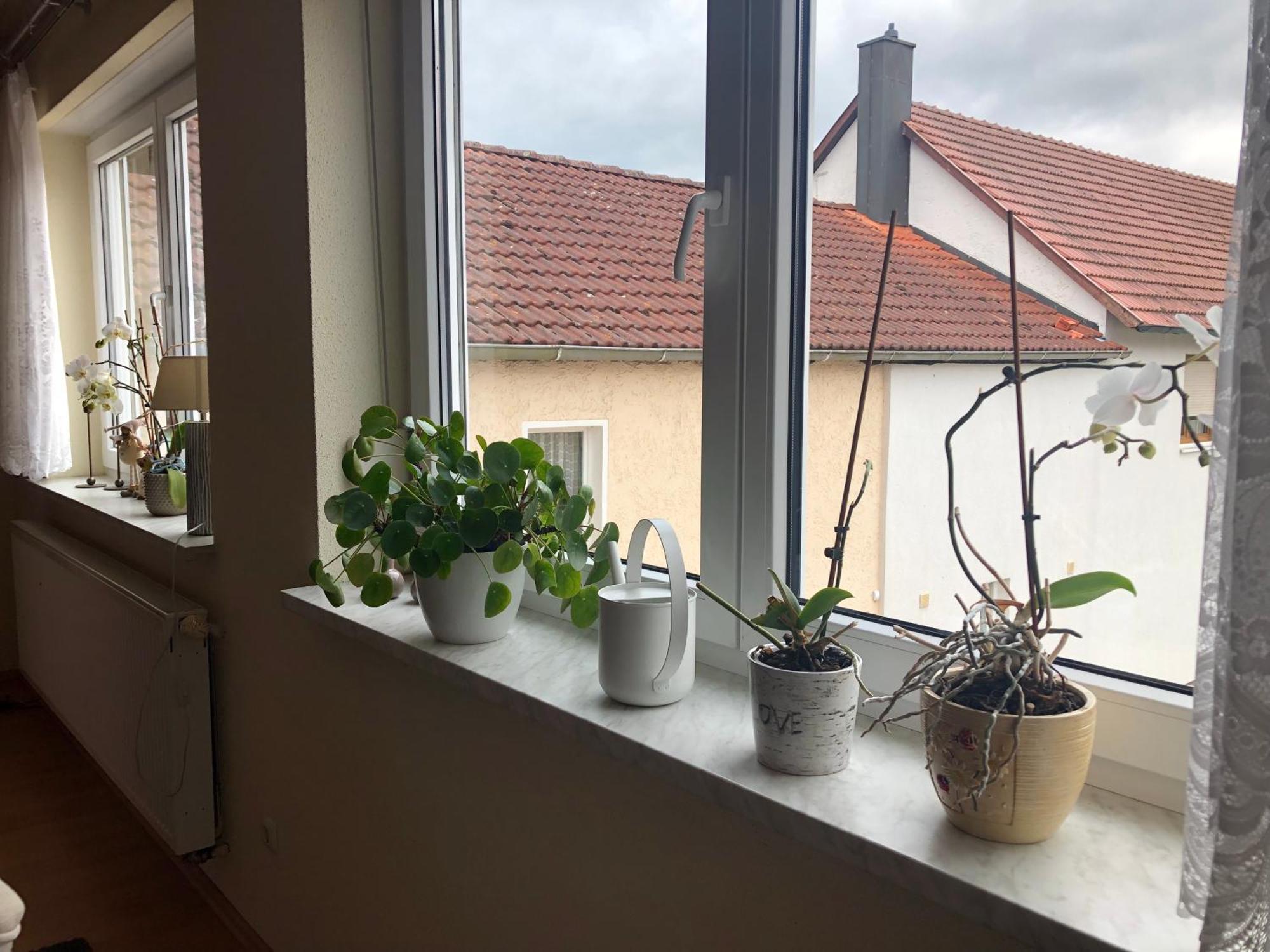Ferienwohnung Am Gruenen Band Hellingen Extérieur photo